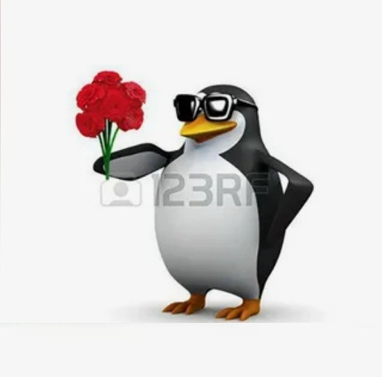 Create meme: the penguin meme, penguin with flowers, penguin with flowers meme