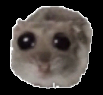 Create meme: hamster with a cross meme, the hamster meme, hamster with big eyes meme