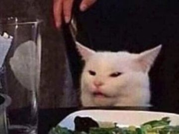 Создать мем: confused cat, мем с белым котом за столом, кот