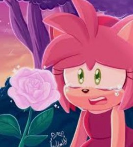 Создать мем: аниме, соник эми роуз, sonamy