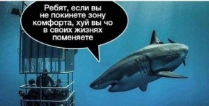 Create meme: shark if you out of your comfort zone will not leave, comfort zone, comfort zone picture with a shark