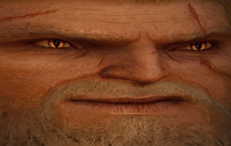 Create meme: Geralt's face, herald meme the witcher, contagion the Witcher