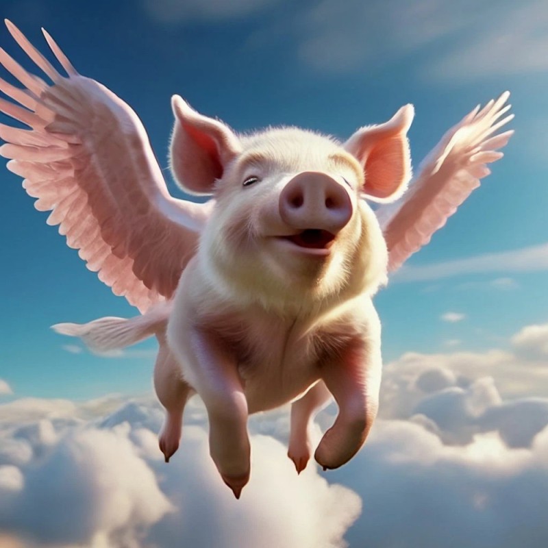 Create meme: flying pig, pig with wings, flying piglet