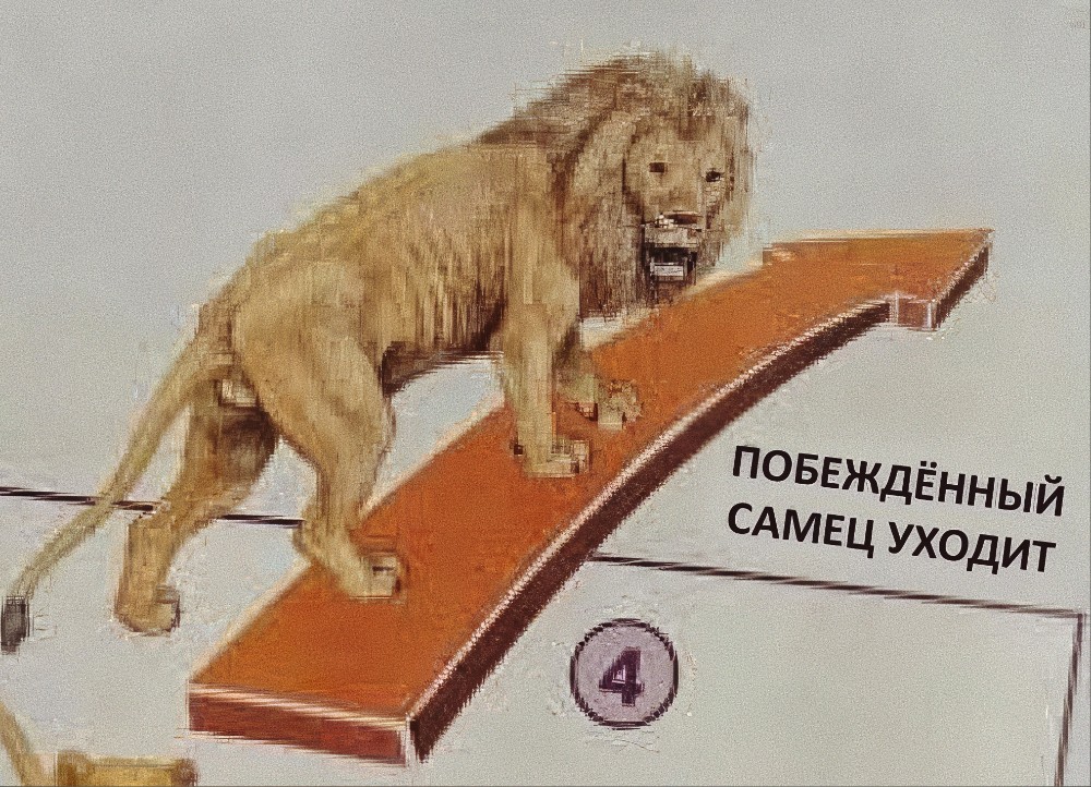Создать мем: животные, лев, lion