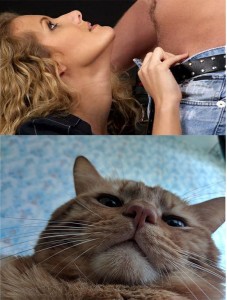 Создать мем: cat, поцеловать кошку, кошка