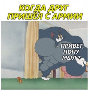 Create meme: tom and jerry, Tom and Jerry, tom ve jerry