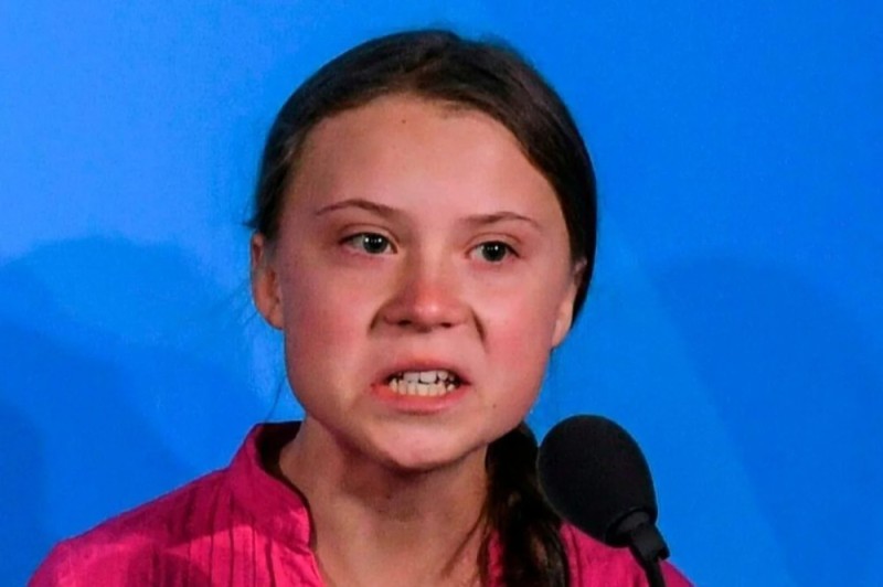 Create meme: The evil Greta Thunberg, Greta Thunberg, greta thunberg memes