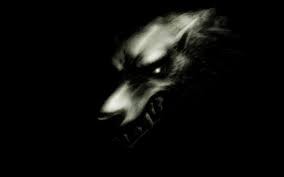 Создать мем: волк в ярости, темный волк, dark wolf арт