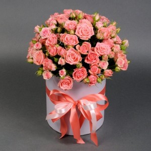 Create meme: pink roses, spray roses, pink spray roses