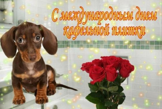 Create meme: the smooth-haired Dachshund , Dachshund rabbit, postcard