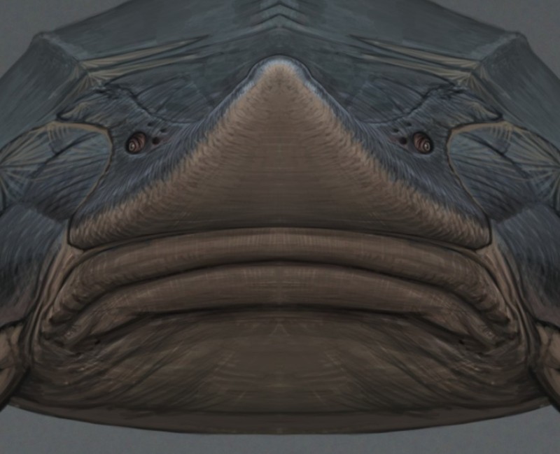 Create meme: illustration, The shell fish of dunkleost, shark dunkleosteus