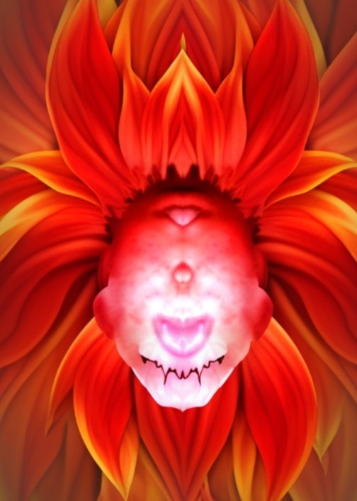 Create meme: fire flower, flowers are large, orange flowers
