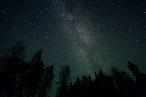 Create meme: night, star, forest sky
