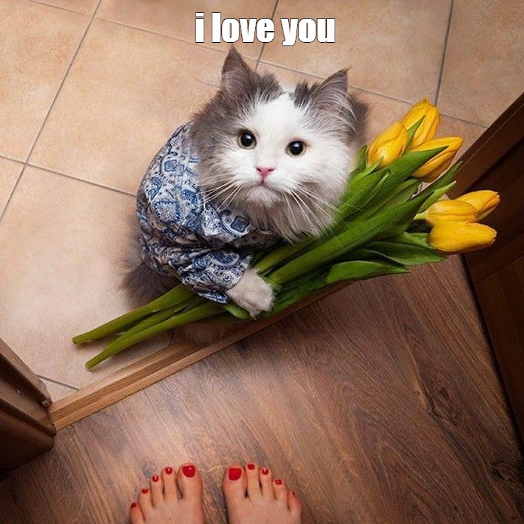 Create meme: cat with flowers, cat with a bouquet of flowers, cat with flowers meme