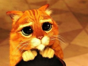 Создать мем: котик из шрека, кот шрек, печальные глаза кота из шрека