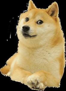 Create meme: wow such doge, doge dog, Shiba inu doge