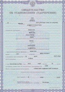 Create meme: sample of marriage certificate, marriage certificate, birth certificate