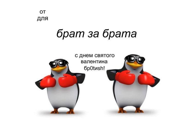 Create meme: valentines are funny, boxing with penguins, Valentine with a penguin