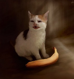 Создать мем: кот, кошка и банан, Кошка