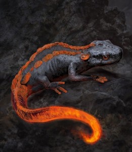 Create meme: crocodile newt, red-tailed Triton, fire lizard photo