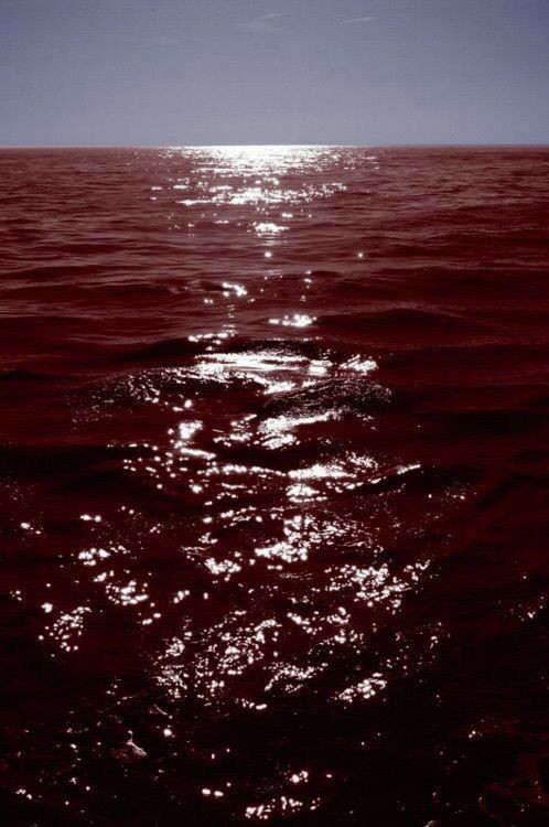 Создать мем: море крови, кровавое море, море красного цвета