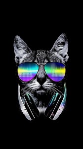 Create meme: dj cat, sunglasses, art cat