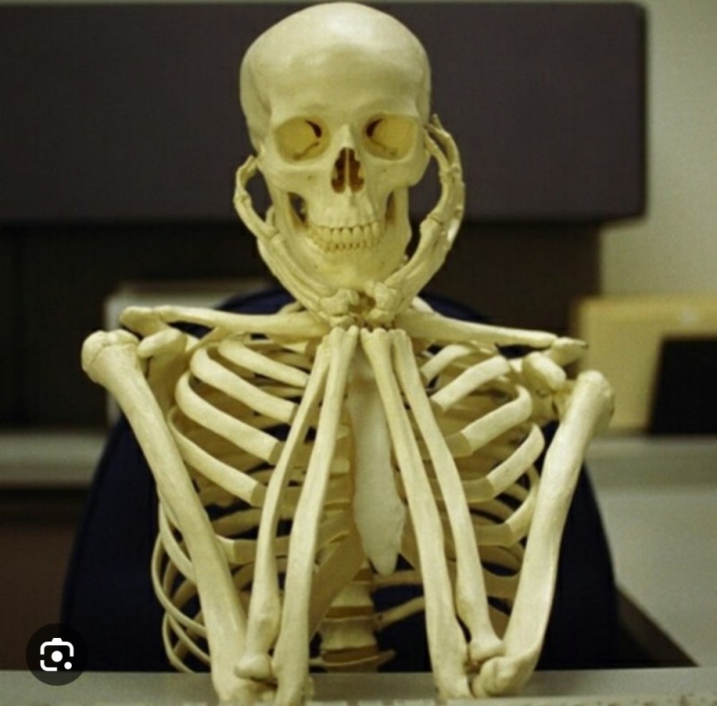 Создать мем: скелет человека, кости скелета, человеческий скелет