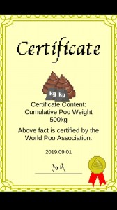 Создать мем: certificate, perfect attendance award certificate, certificate of completion