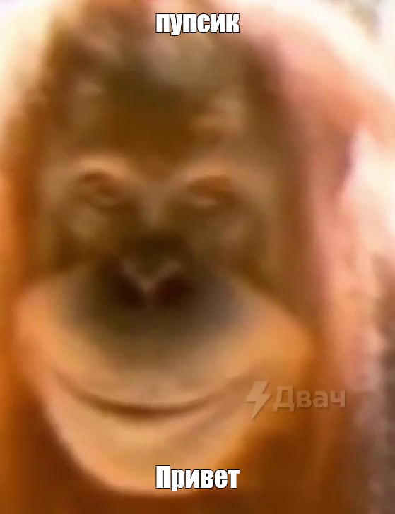 От улыбки обезьяна подавилася бананом. Обезьяна улыбается Мем. Обезьяна улыбается зубами Мем. Обезьяна с ухмылкой за стеклом Мем. Улыбающаяся обезьяна из мема.