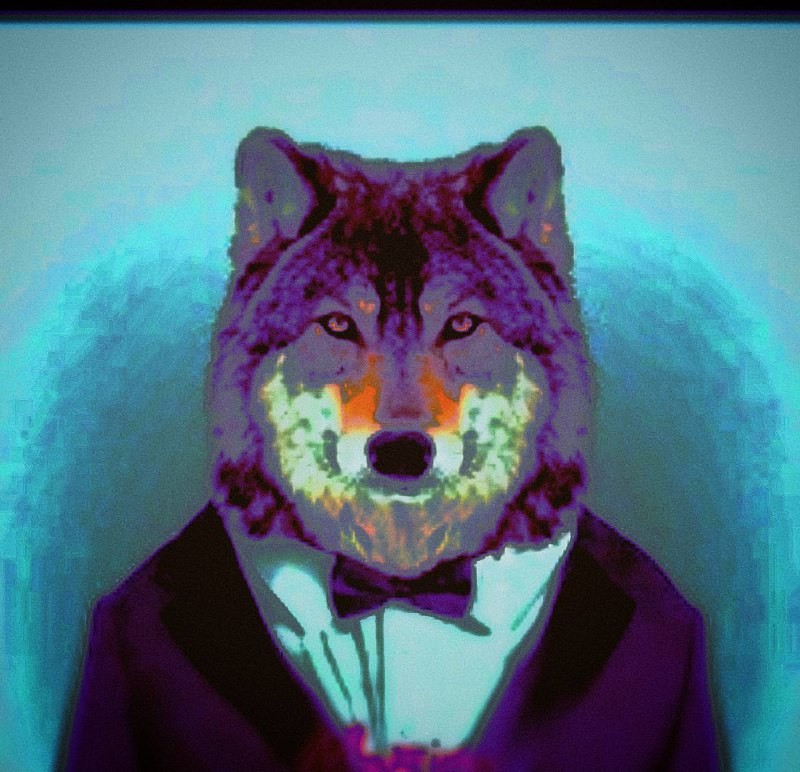 Create meme: hide friends, wolf in a suit, beautiful wolf