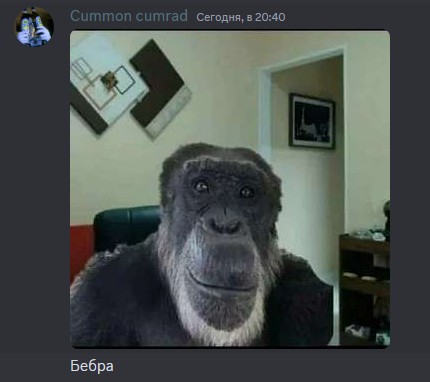 Create meme: chimp meme, monkey , monkey smiles meme
