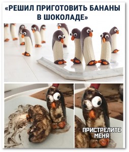 Создать мем: мемы про шоколад, смешные пингвины, шоколад пингвин