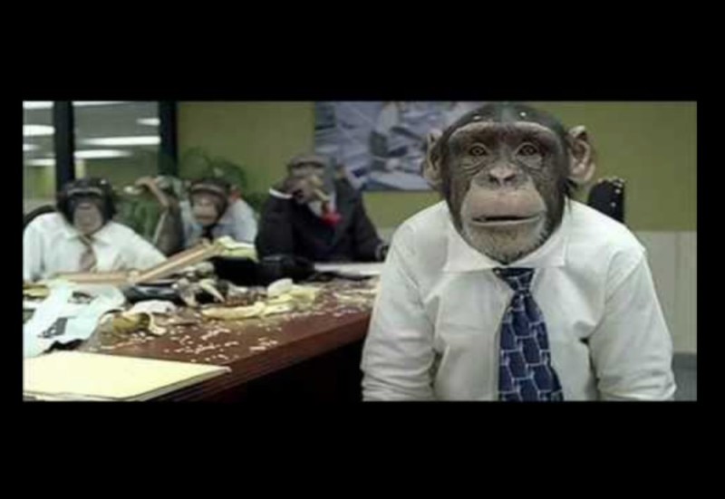 Создать мем: обезьяна на работе, смешные обезьяны, веселая обезьяна