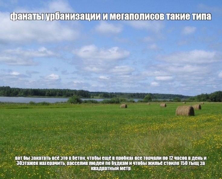 Создать мем: осиновик пермский край еловский район, virolahti финляндия, с полем