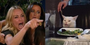 Создать мем: мем женщина и кот, бабы и кот мем, мем с котом за столом
