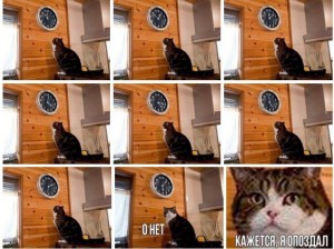 Создать мем: кот ждет мем, о нет кажется я опоздал кот, кот и часы мем