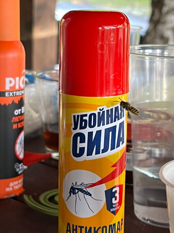 Create meme: spray against mosquitoes, dichlofos from bedbugs, aerosol from ticks