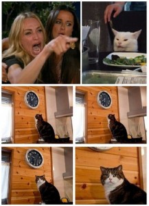 Create meme: and watch cat meme, meme with a cat and a clock, meme the cat and the clock time