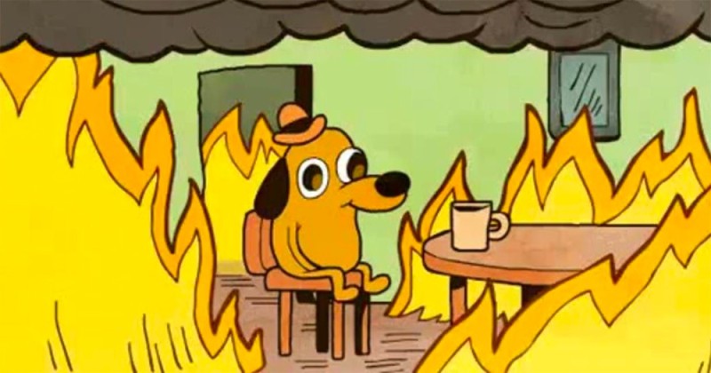 Создать мем: пес в огне мем, мем пес в горящем доме, собака в пожаре мем