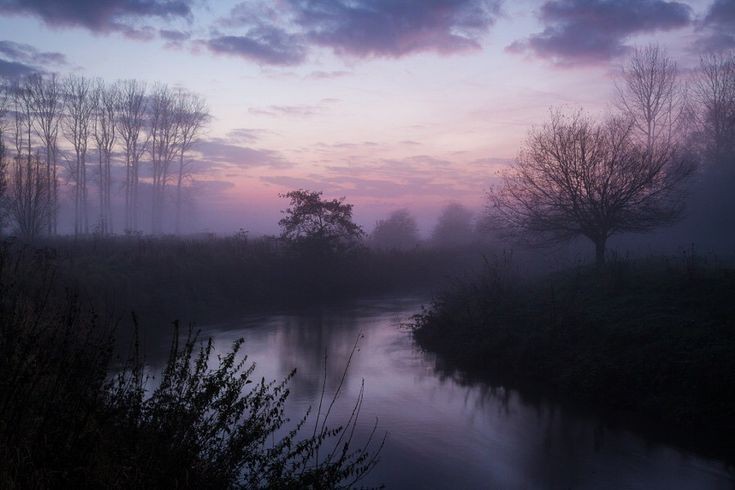 Create meme: june landscape, summer landscape, nature fog