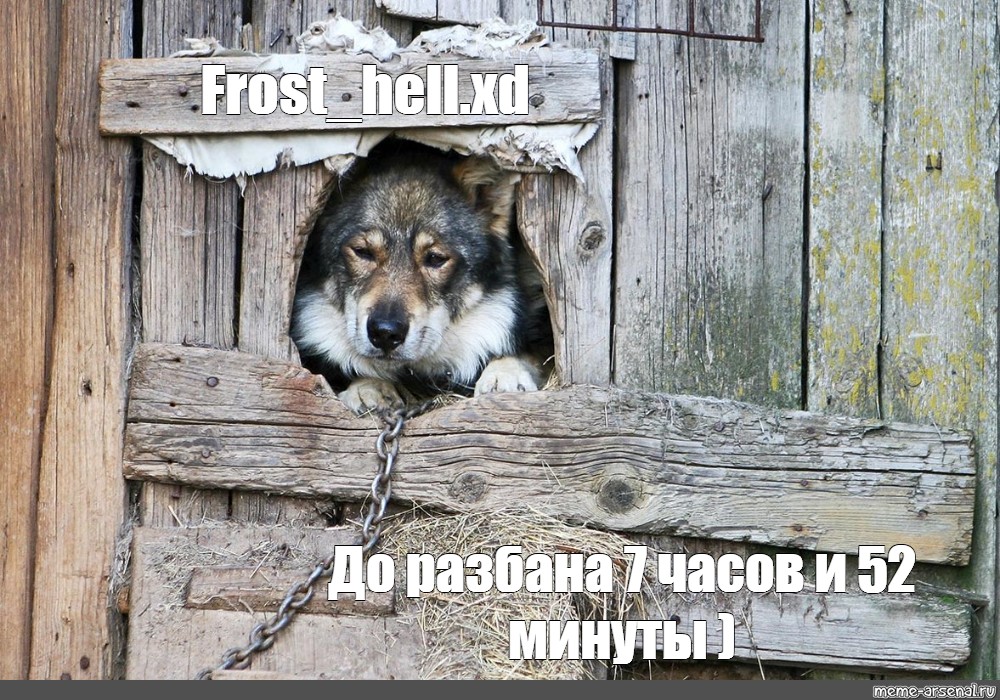 Создать мем: null