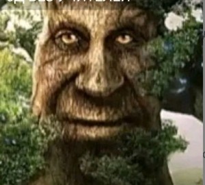 Create meme: people tree, living tree, male