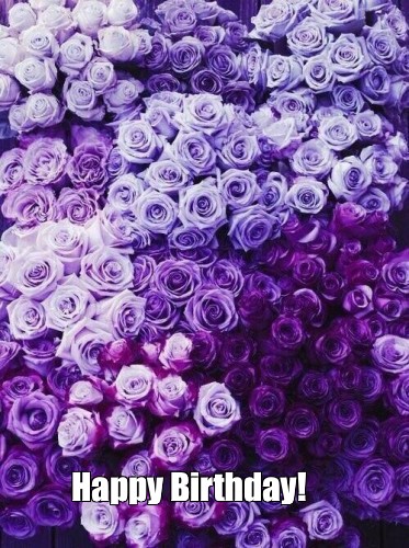 Create Comics Meme Purple Rose Flowers