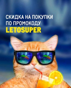 Создать мем: коты, кошка, рыжий кот в очках