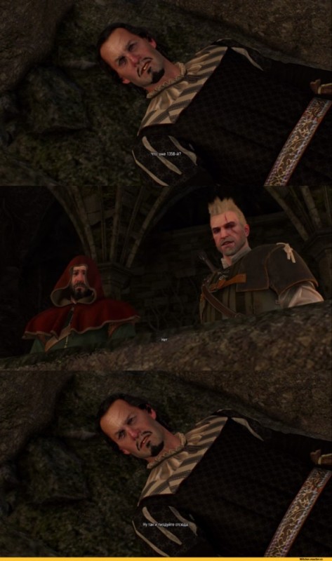 Create meme: The Witcher 3: Wild Hunt, vampires the witcher 3, vampires the witcher