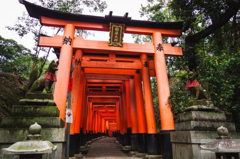 Создать мем: святилище фусими инари, храм фусими инари в японии, храм тысячи ворот в киото
