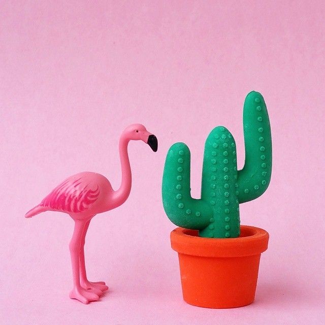Create meme: flamingos and cacti, flamingo , flamingo papo