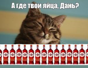 Создать мем: котики смешные, кот, алексей сова мемы с котами