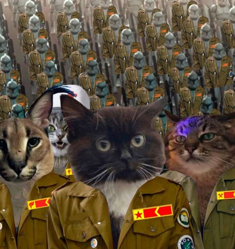 Create meme: cat general, The army of seals, the cat is a fascist