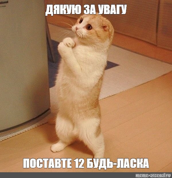 Create meme: the cat begs the meme, meme Kote , cat 